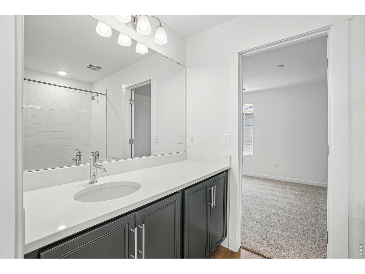 4516 Burl Street Timnath, CO 80547 - Photo 36 of 46