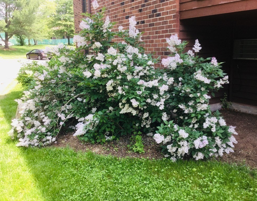 15 Davis Road, Unit B11 Acton, MA 01720 - Photo 16 of 20