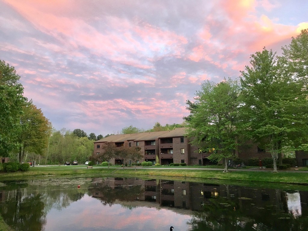 15 Davis Road, Unit B11 Acton, MA 01720 - Photo 9 of 20