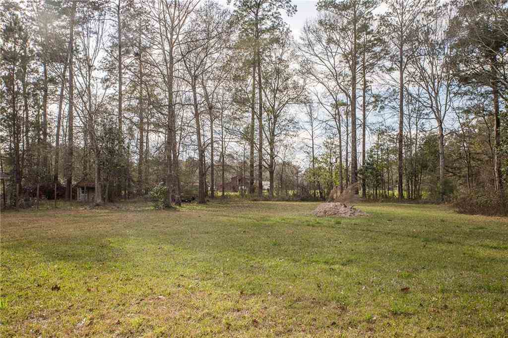 41133 Rolling Hill Road Hammond, LA 70403 - Photo 6 of 20 Gallery Image 6