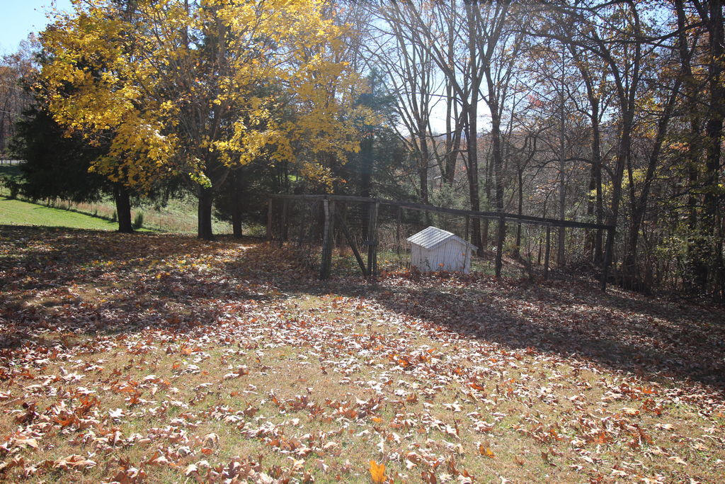 5459 Union Church Road Thaxton, VA 24174 - Photo 35 of 44 IMG_2791