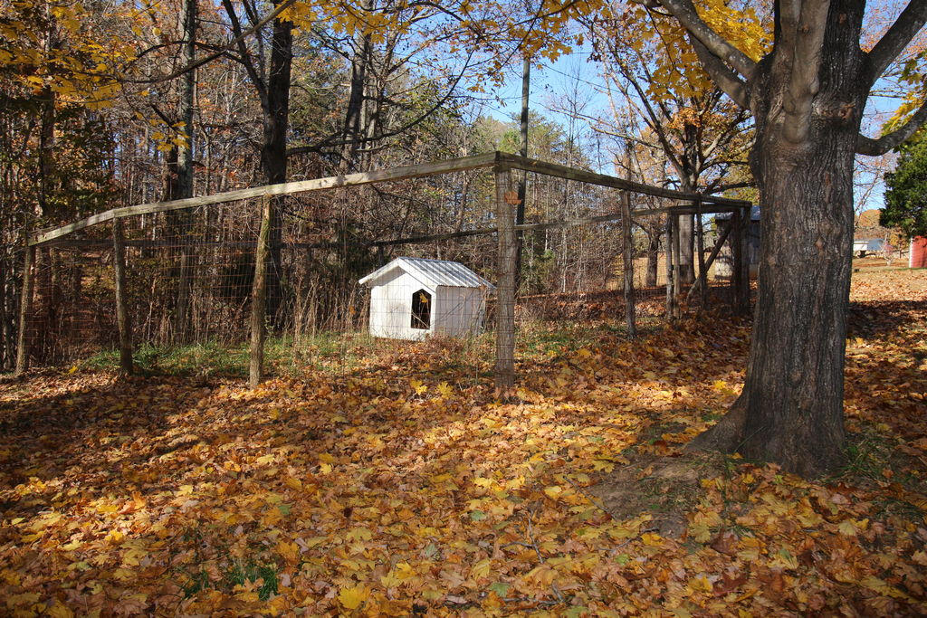 5459 Union Church Road Thaxton, VA 24174 - Photo 36 of 44 IMG_2792