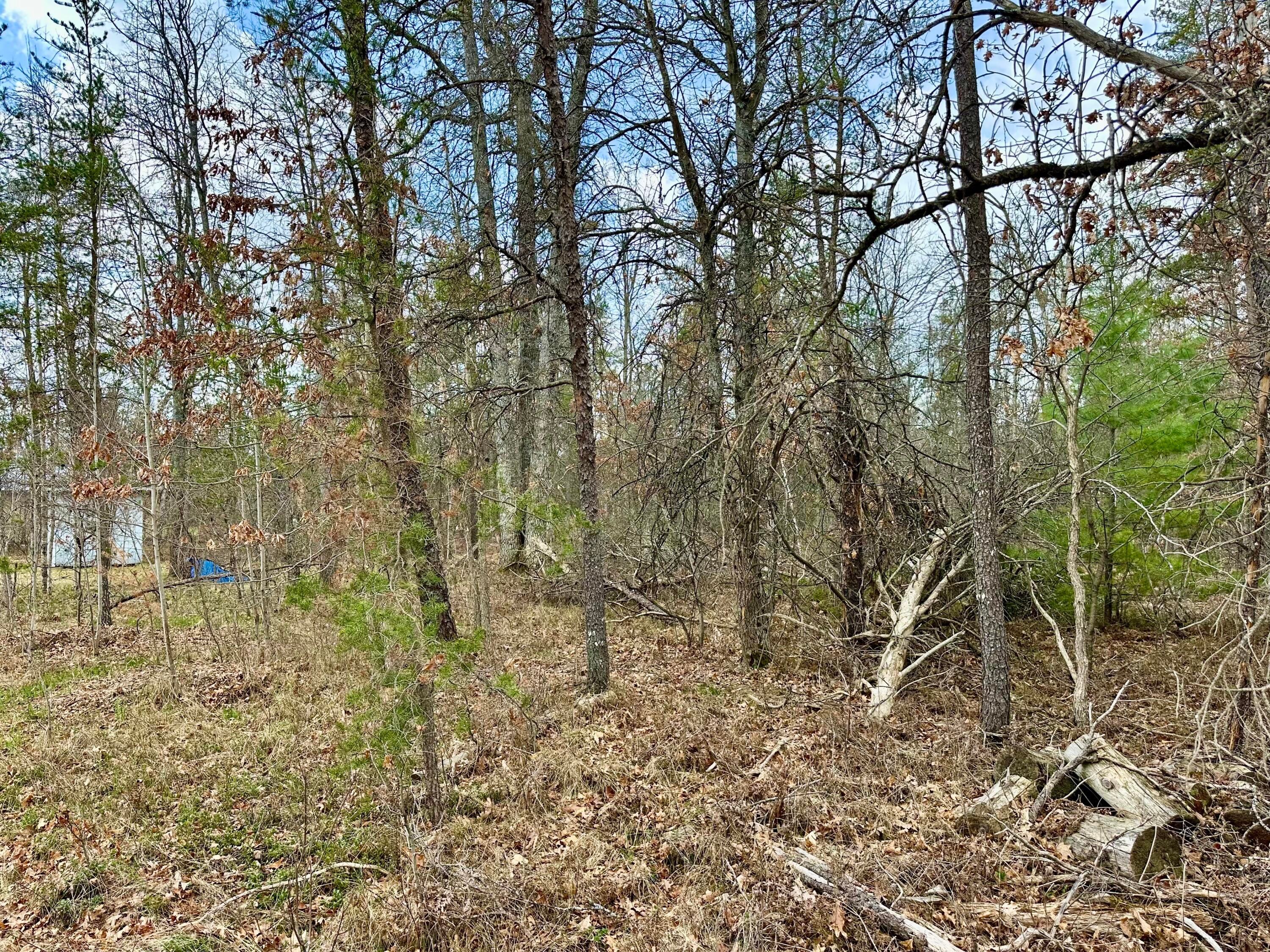 11030 South Stephan Bridge Road Roscommon, MI 48653 - Photo 58 of 59 Gallery Image 58