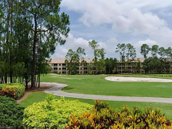 a view of a park with large trees