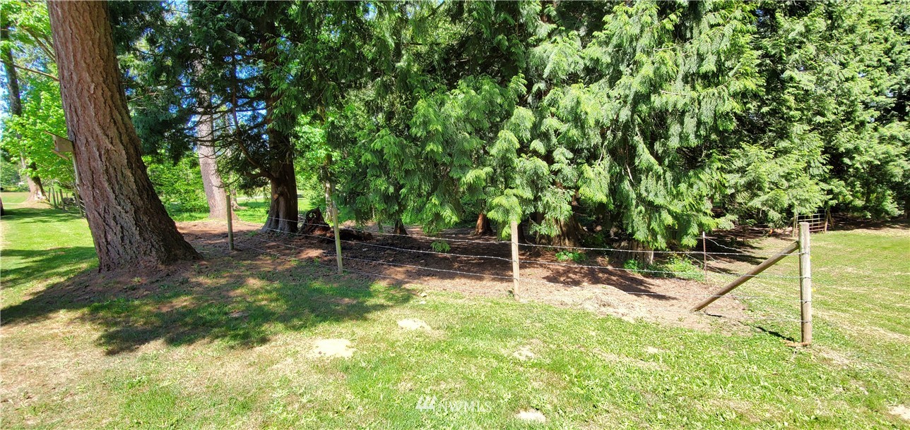 3037 Loomis Trail Road Custer, WA 98240 - Photo 24 of 36