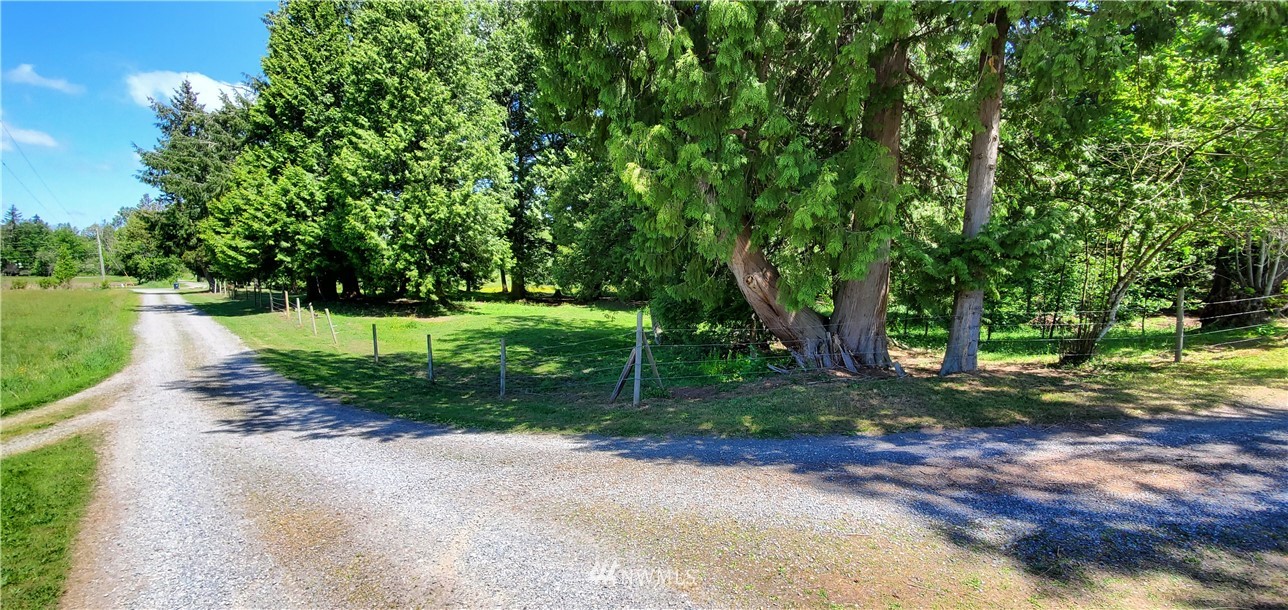 3037 Loomis Trail Road Custer, WA 98240 - Photo 29 of 36