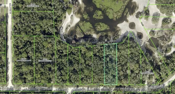 a view of a yard with plants and large trees