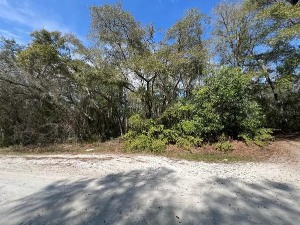 a view of a yard with a tree
