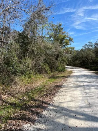 a view of a field of grass and trees