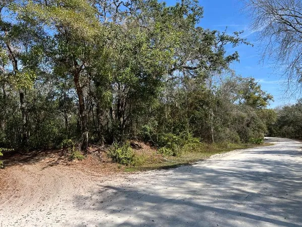 a view of backyard space