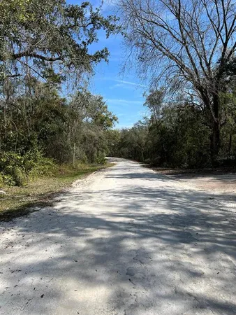 a view of backyard with large trees