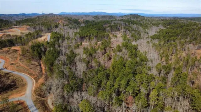 a view of a forest with mountains in the background