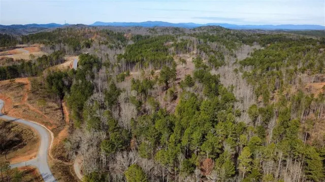 a view of a forest with mountains in the background