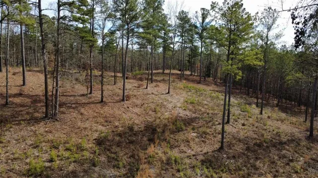a view of backyard with trees