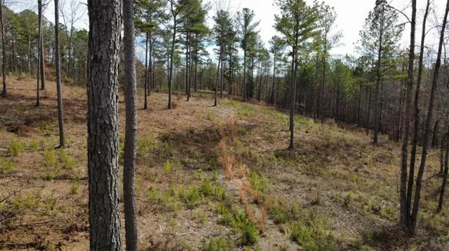 a view of outdoor space with trees