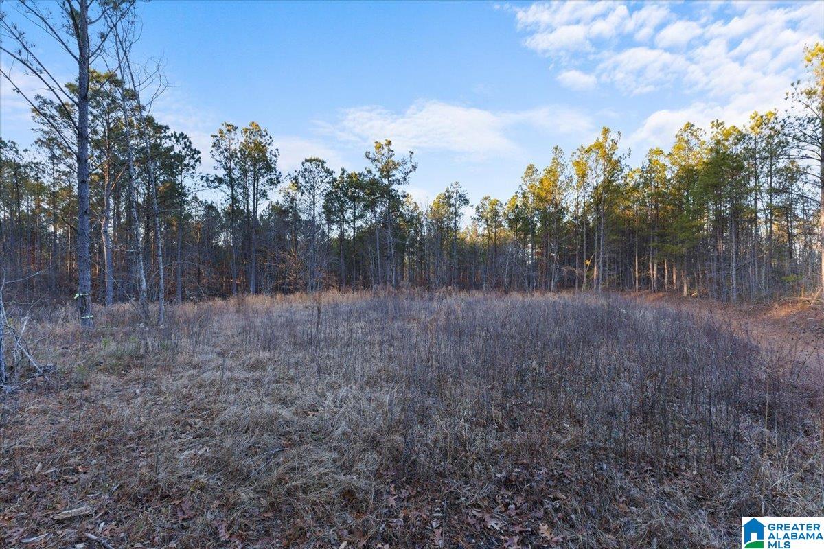0 Smith Road Boaz, AL 35957 - Photo 18 of 27 Gallery Image 18