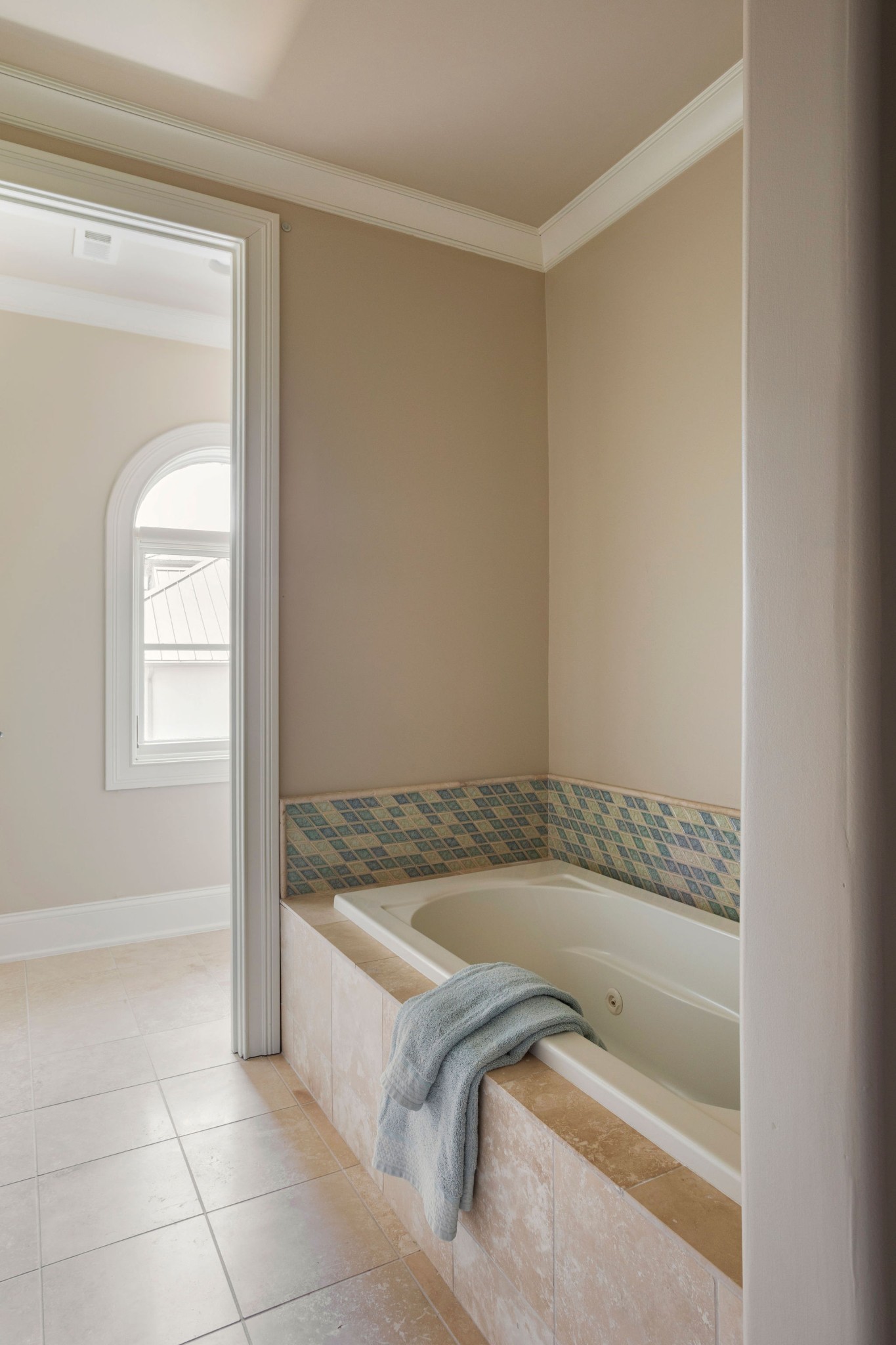 423 Canterbury Rise Franklin, TN 37067 - Photo 55 of 100 a bathroom with a bathtub