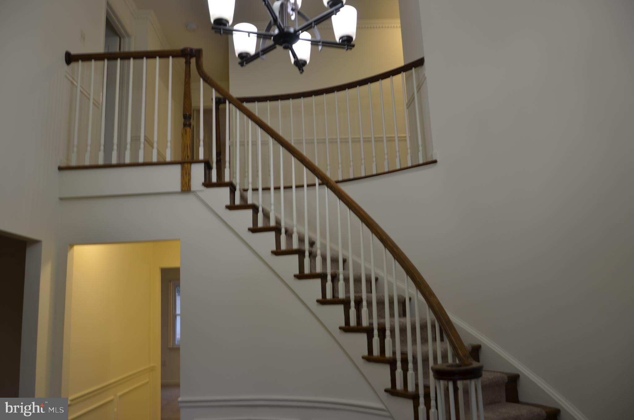 2301 Holly Spring Drive Silver Spring, MD 20905 - Photo 8 of 30