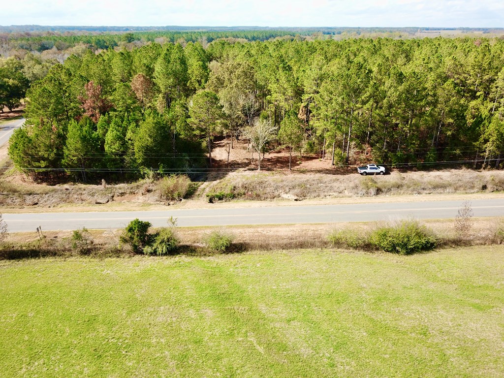3-acres Lucy Grade Road Ashford, AL 36312 - Photo 14 of 18