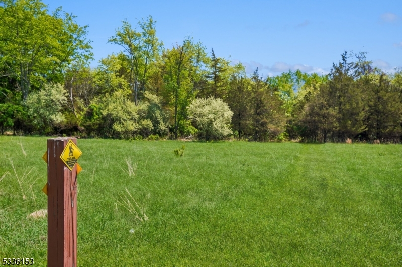 70 Pleasant Run Road Flemington, NJ 08822 - Photo 45 of 50 a view of a park with large trees