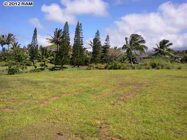 0 North Holokai Road, Unit 4A Haiku, HI 96708 - Photo 4 of 19 a view of a green field with lots of palm trees