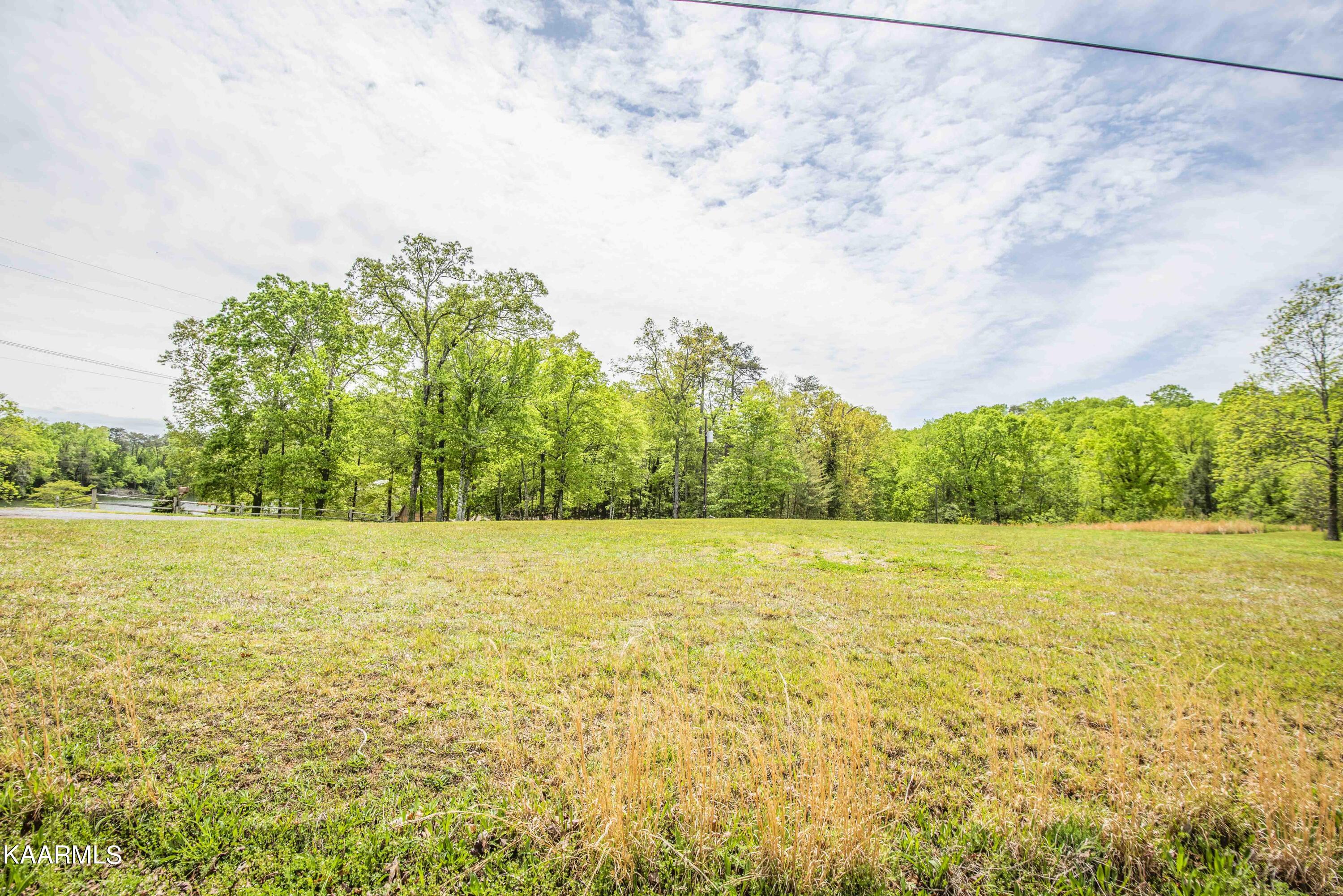 Lot 238 Hickory Dr Spring Spring City, TN 37381 - Photo 3 of 11 ground 1_1