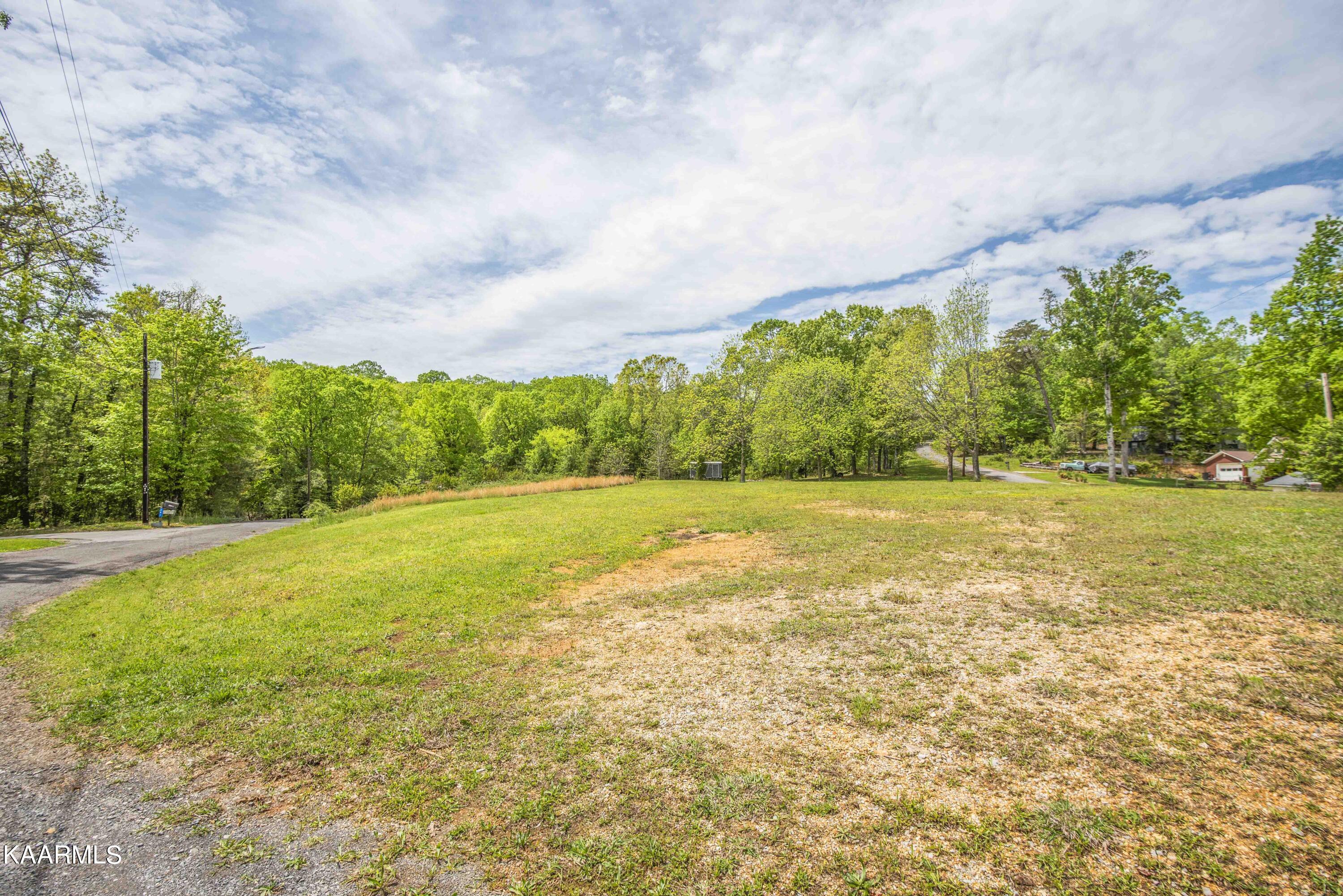 Lot 238 Hickory Dr Spring Spring City, TN 37381 - Photo 4 of 11 ground 2_1