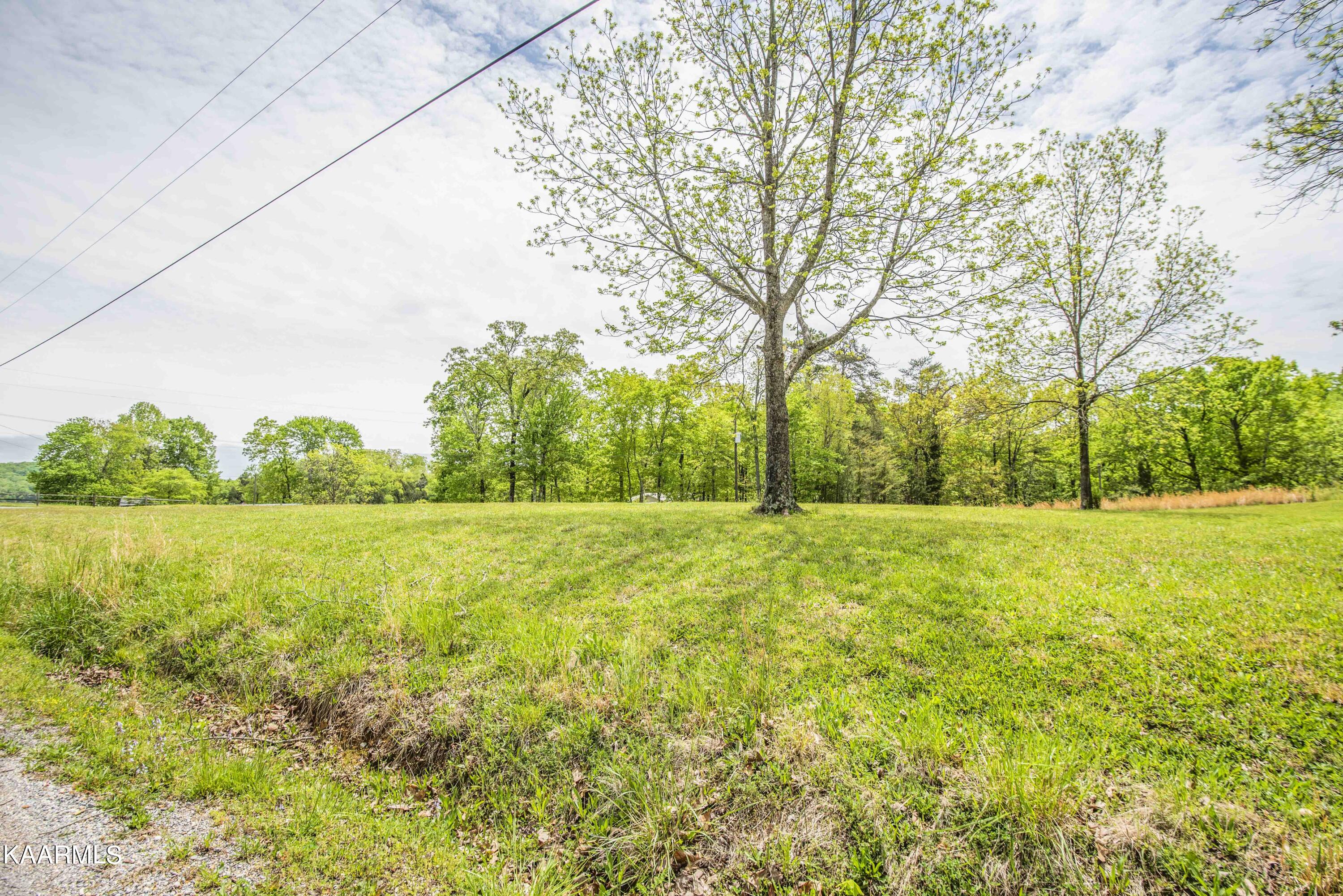 Lot 238 Hickory Dr Spring Spring City, TN 37381 - Photo 5 of 11 ground_1