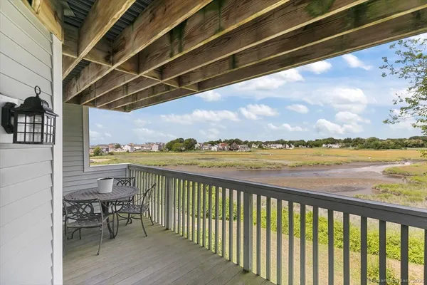 a view of a deck with wooden floor and a potted plant