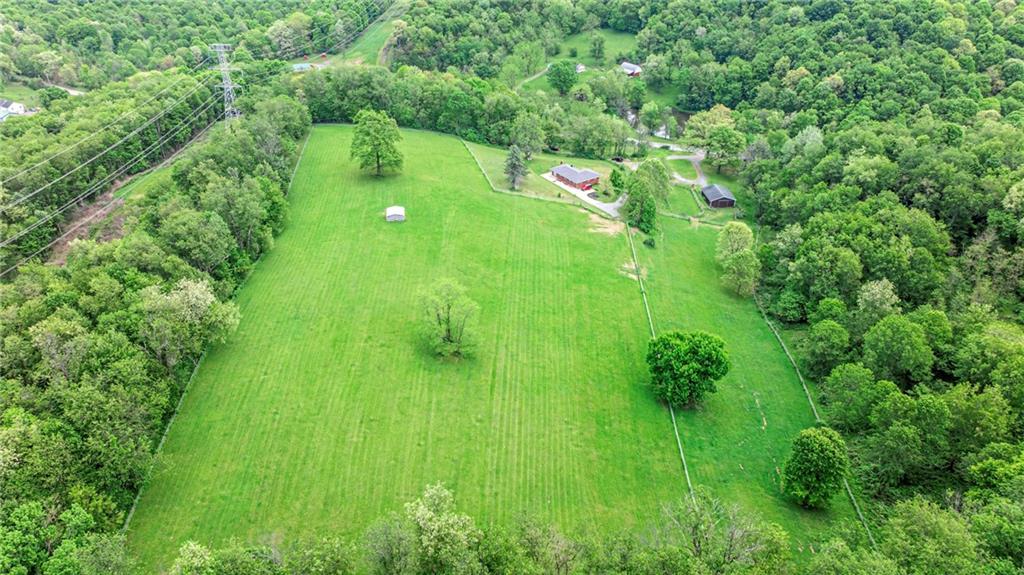 383 Ridgemont Drive Midland, PA 15059 - Photo 16 of 44 a lush green forest with lots of trees
