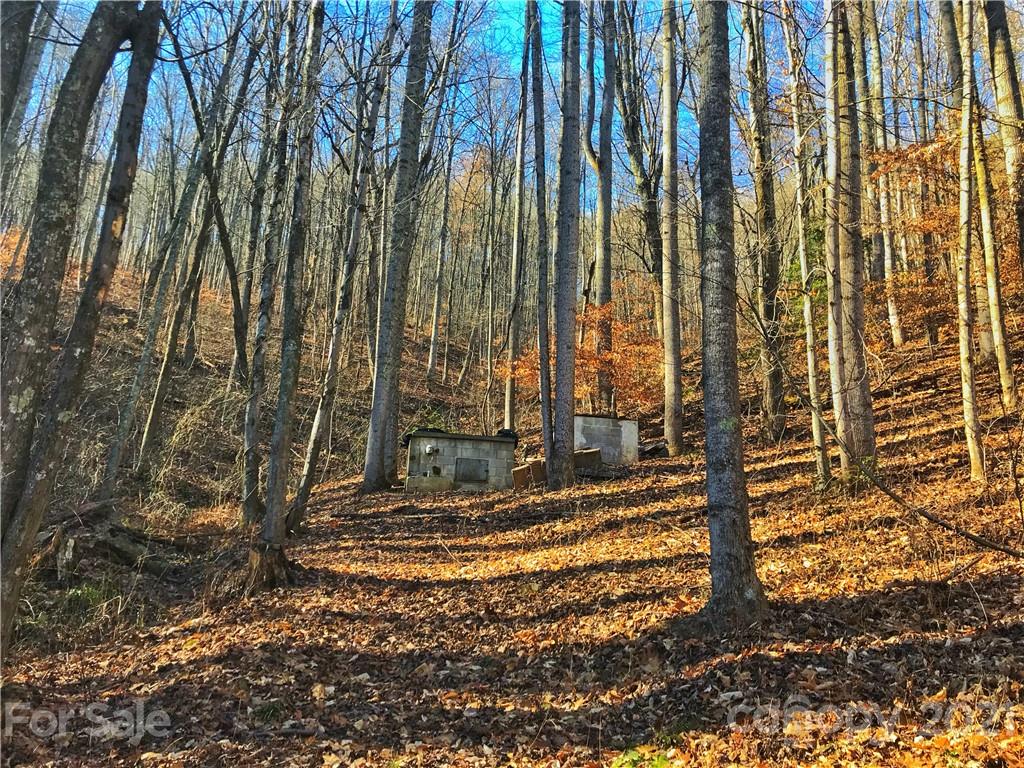 0 Reeves Cove Road Candler, NC 28715 - Photo 8 of 10 Gallery Image 8