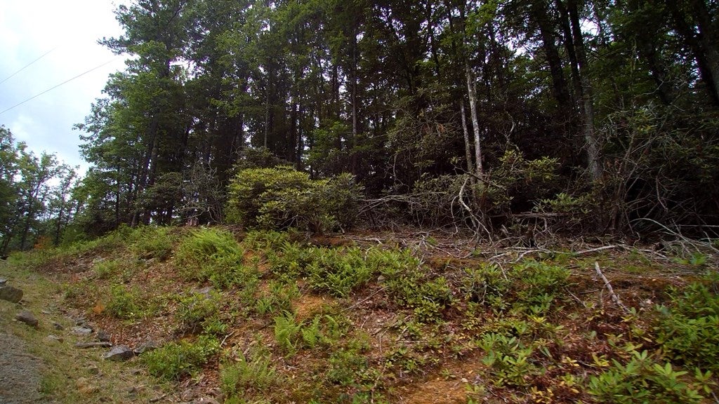 21-22 Ridge Line Trail, Unit 21 & 22 Independence, VA 24348 - Photo 8 of 8 Gallery Image 8