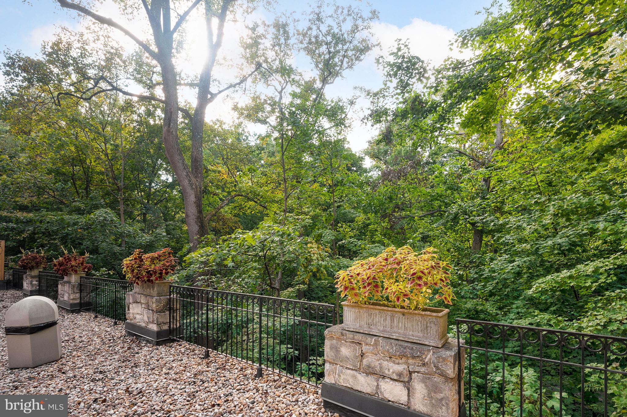 2737 Devonshire Place Northwest, Unit 123 Washington, DC 20008 - Photo 35 of 46 Direct views of Tregaron Conservancy