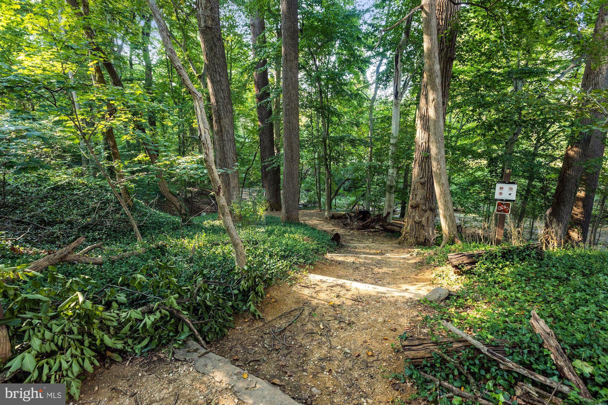 2737 Devonshire Place Northwest, Unit 123 Washington, DC 20008 - Photo 45 of 46 Rock Creek Park