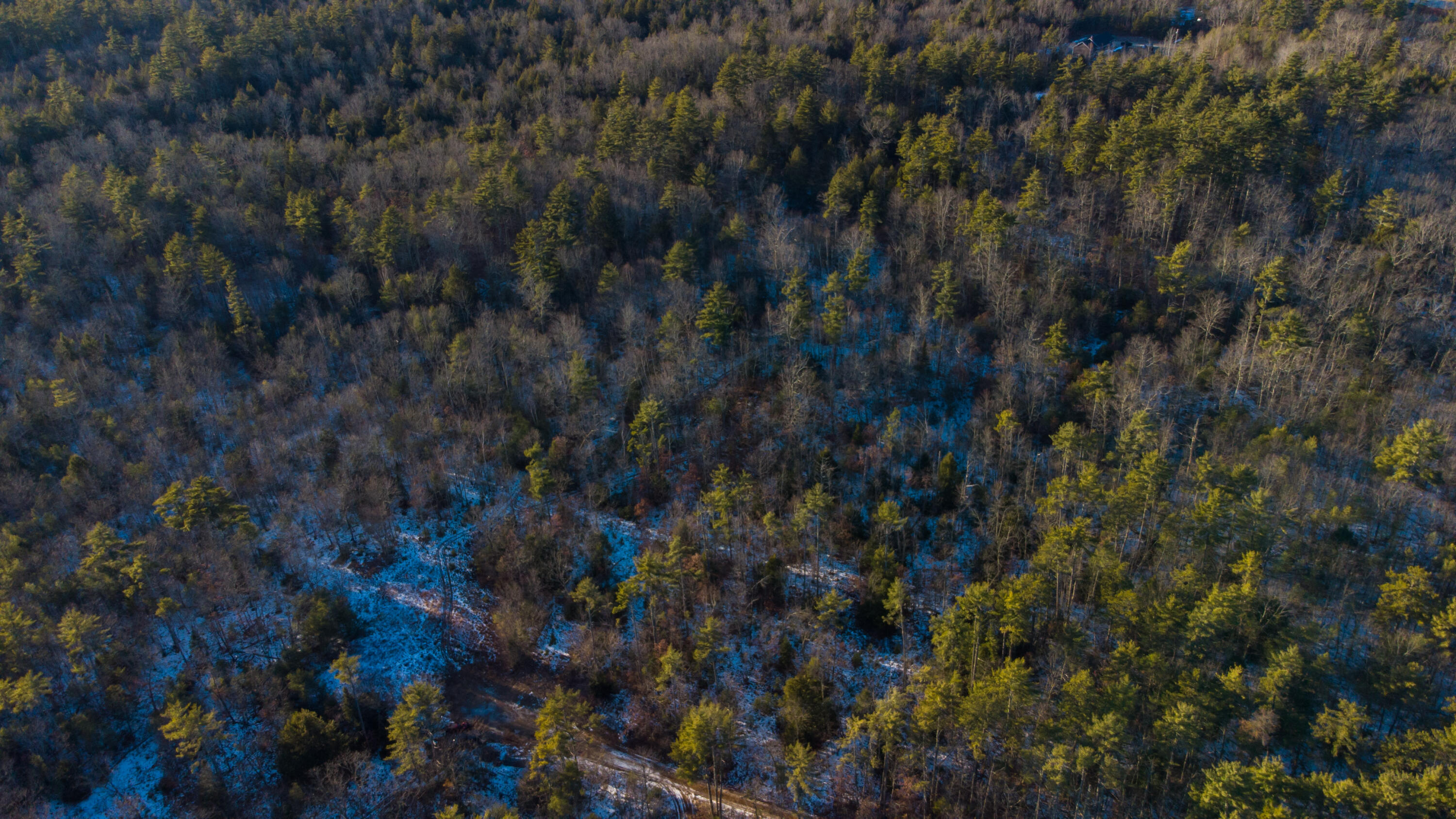 Tbd Saco Road Steep Falls, ME 04085 - Photo 10 of 16 DJI_0549