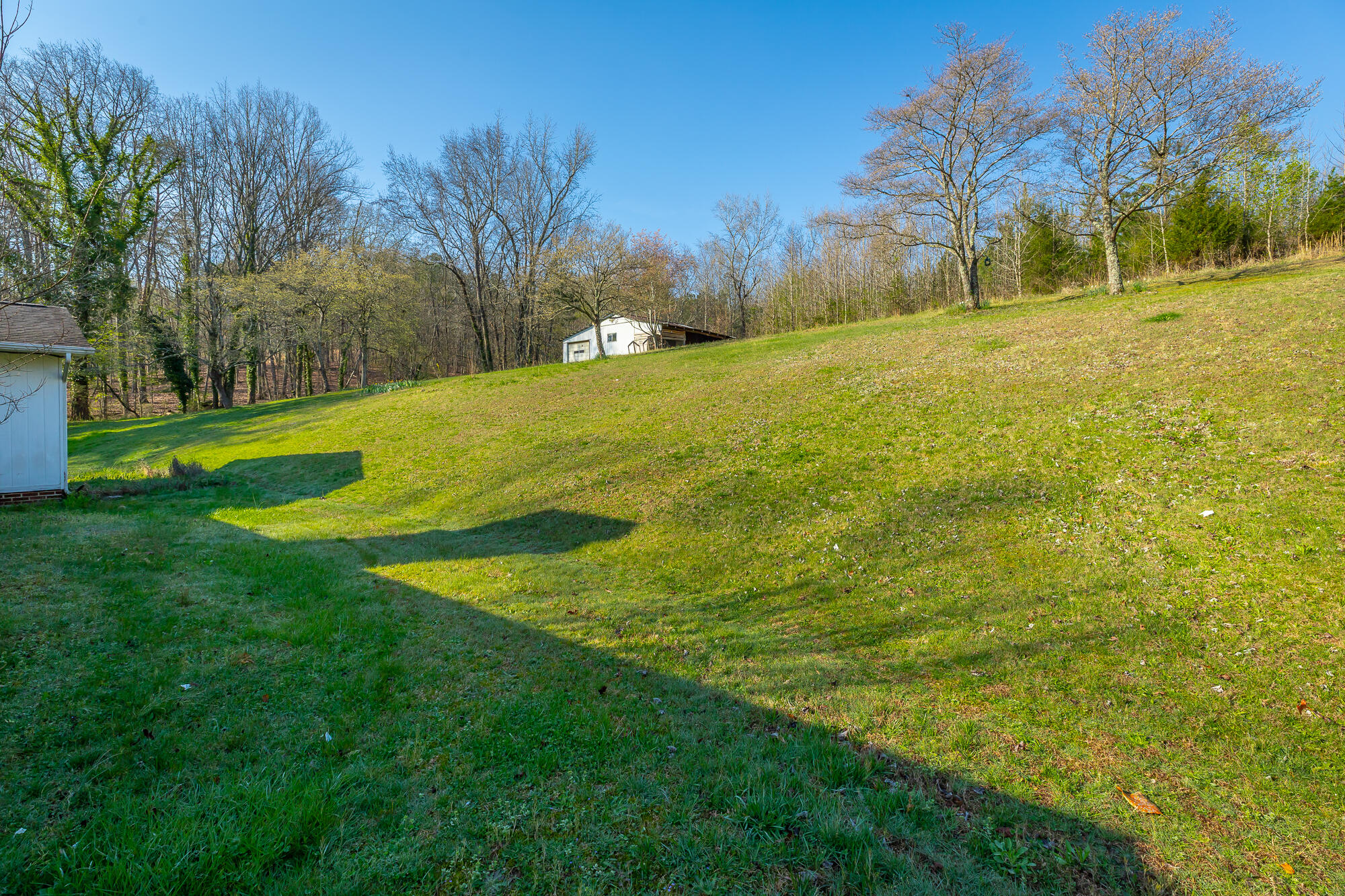 756 Blythes Ferry Road Dayton, TN 37321 - Photo 5 of 26 Backyard to out building