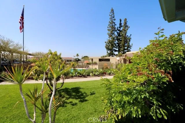 a view of a yard with plants