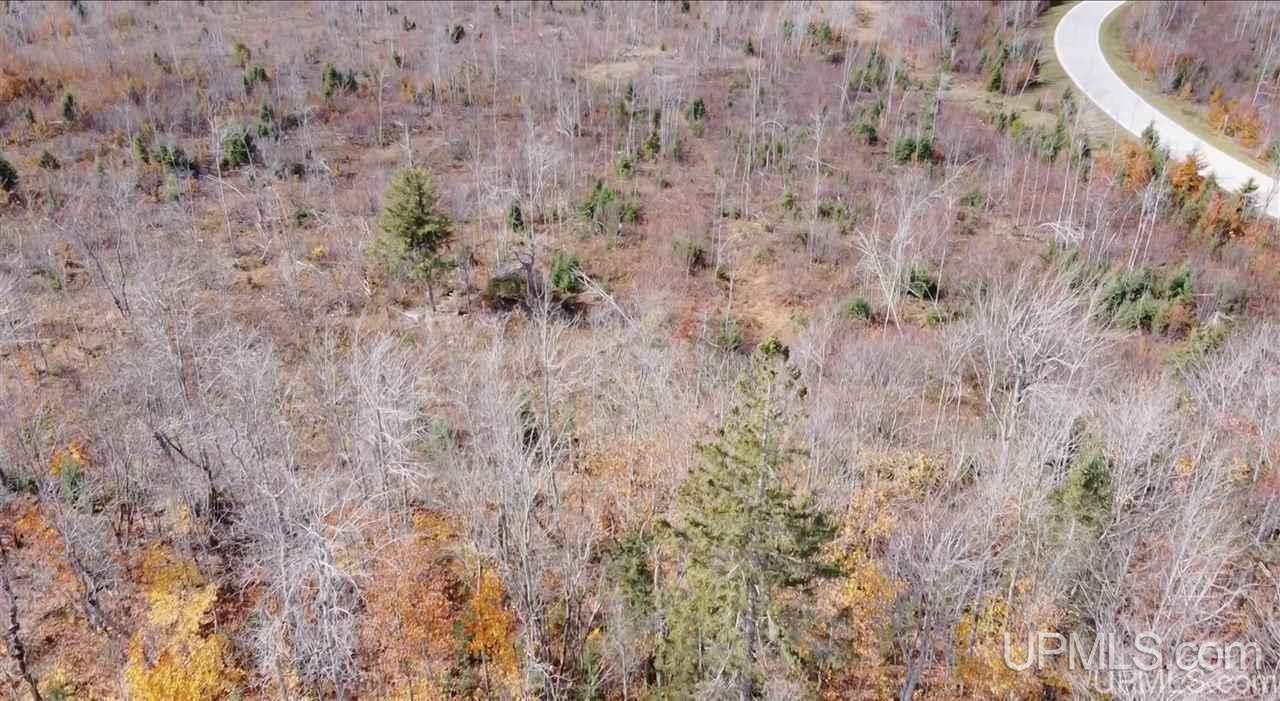 Tbd West Tbd W Co Road Seney, MI 49883 - Photo 6 of 12