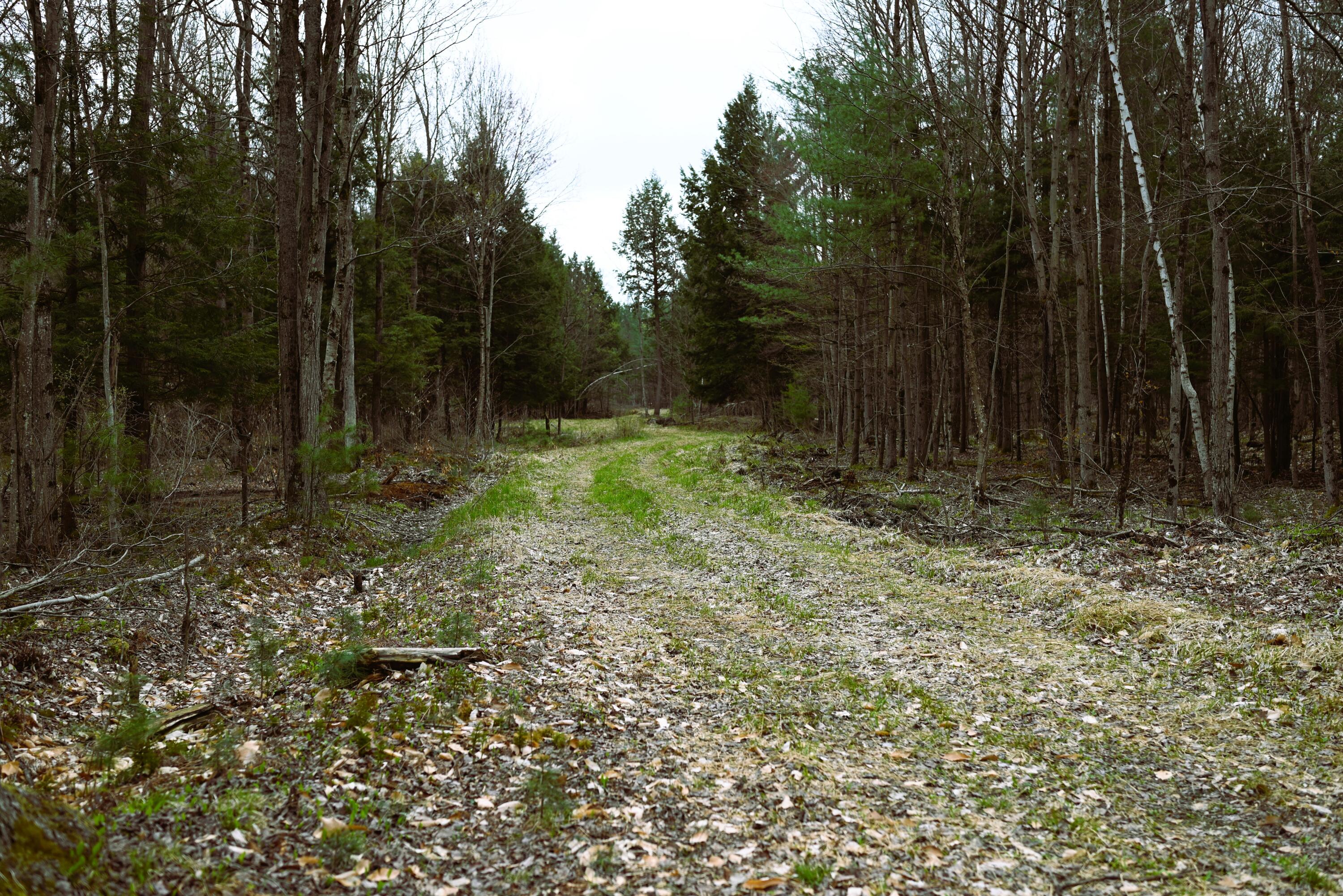 422 Stebbins Road Constable, NY 12926 - Photo 17 of 30 Gallery Image 17