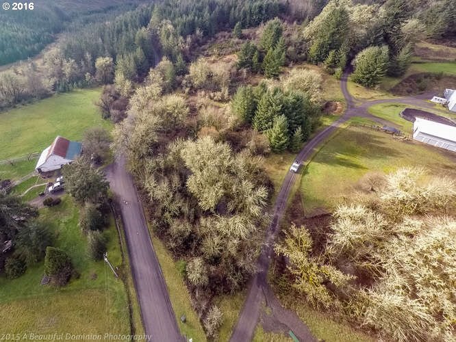 0 Southwest Eagle Point Road McMinnville, OR 97128 - Photo 3 of 15