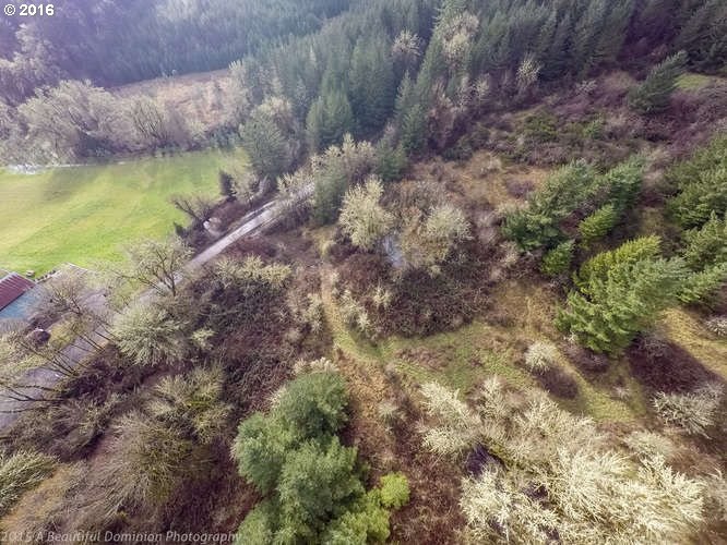 0 Southwest Eagle Point Road McMinnville, OR 97128 - Photo 4 of 15