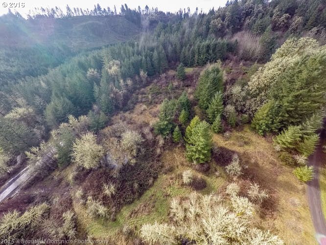 0 Southwest Eagle Point Road McMinnville, OR 97128 - Photo 5 of 15