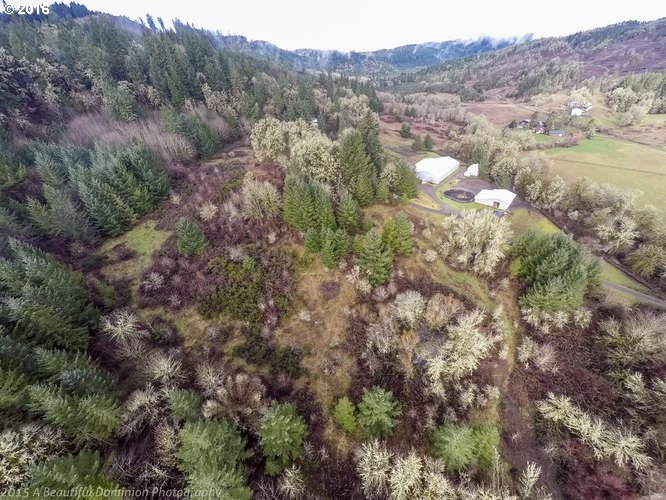 0 Southwest Eagle Point Road McMinnville, OR 97128 - Photo 6 of 15