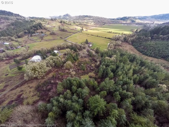 0 Southwest Eagle Point Road McMinnville, OR 97128 - Photo 9 of 15