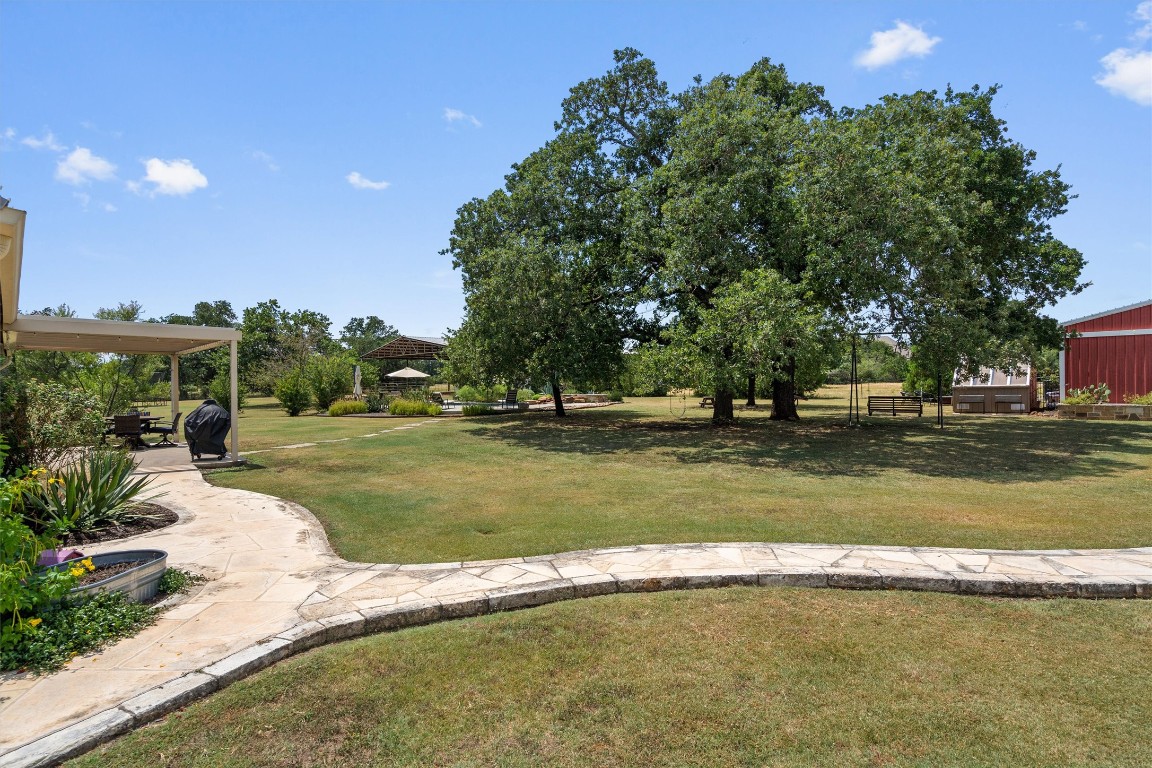 323 Patricia Road Georgetown, TX 78628 - Photo 19 of 40 a view of a swimming pool with a yard and palm trees