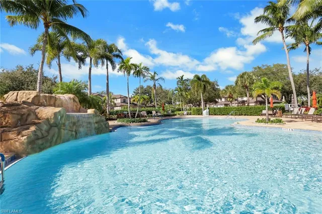 a view of a park with palm trees