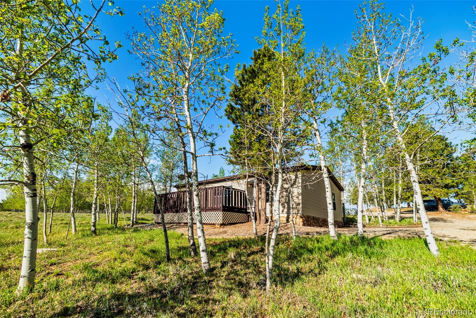 152 Wagon Wheel Road Hartsel, CO 80449 - Photo 1 of 40 Gallery Image 1