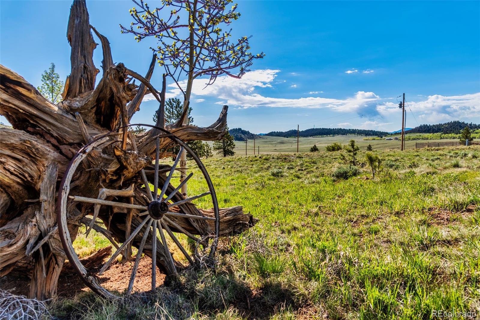 152 Wagon Wheel Road Hartsel, CO 80449 - Photo 11 of 40 Gallery Image 11