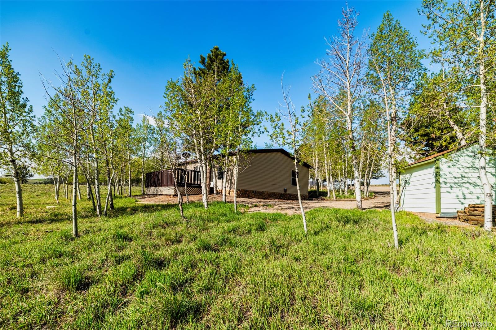 152 Wagon Wheel Road Hartsel, CO 80449 - Photo 12 of 40 Gallery Image 12