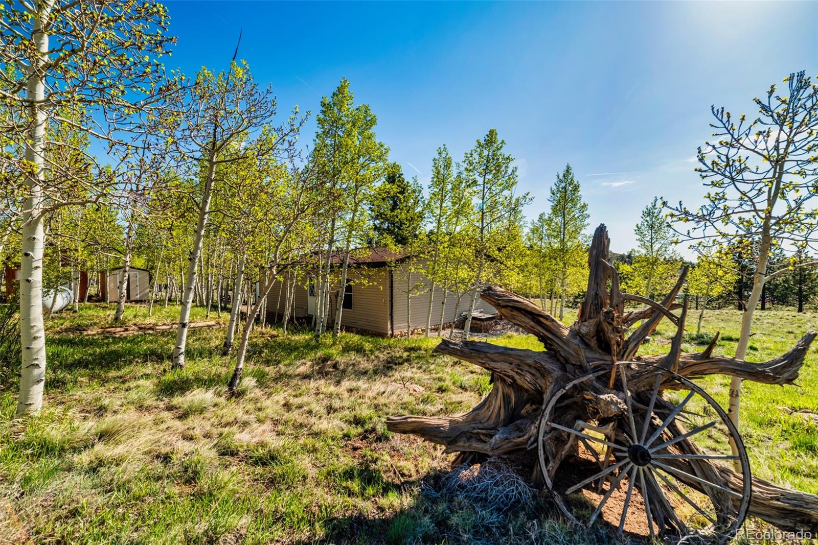 152 Wagon Wheel Road Hartsel, CO 80449 - Photo 13 of 40 Gallery Image 13